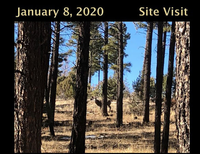Aripine development site